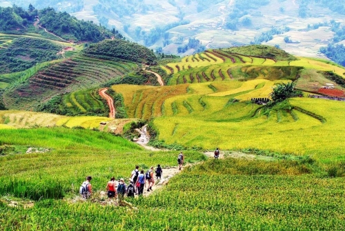 Sapa Medium Trekking 04 Nights 03 Days (By train)