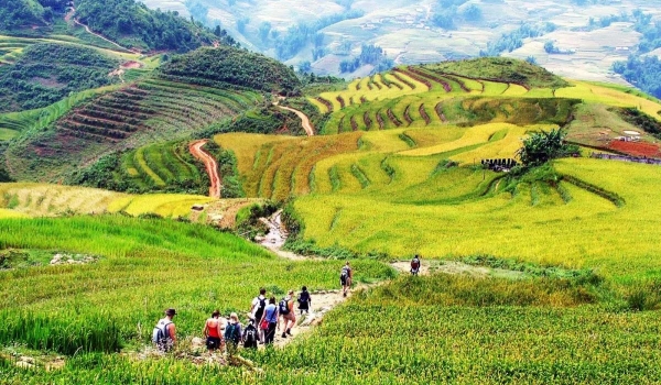 Sapa Medium Trekking 04 Nights 03 Days (By train)